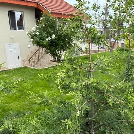 за гости - девня Pensjonat Devnya